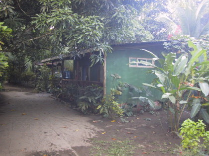Jungle_House_matapalo