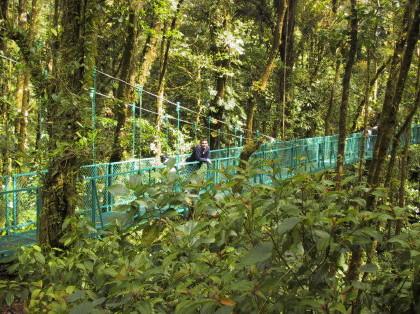 Canopy_Tour_St_Elena