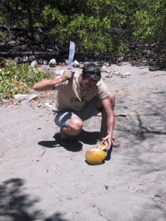 Kokusnuss_gef&auml;llig